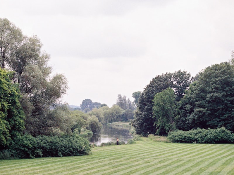 Trimmed hedges and a tidy garden