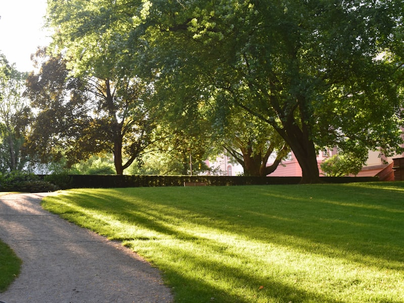 Landscaped garden with green lawn